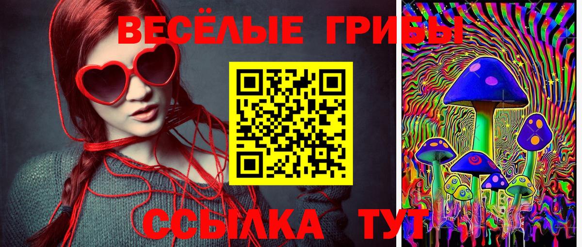Псилоцибиновые грибы Psilocybe Екатеринбург