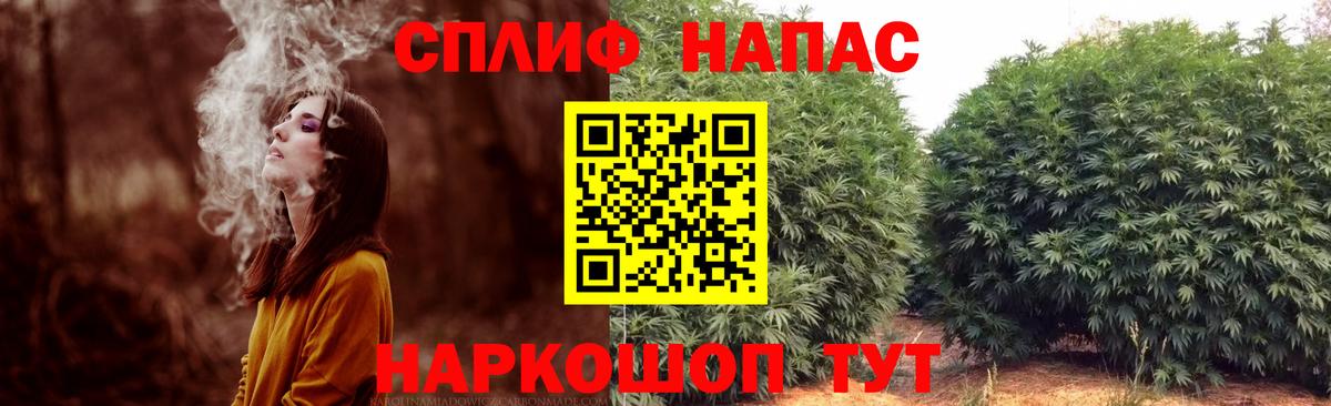 Шишки марихуана семена  Марихуана OG Kush  Шишки марихуана AK-47  Екатеринбург  Вход с VPN  Шишки марихуана конопля 